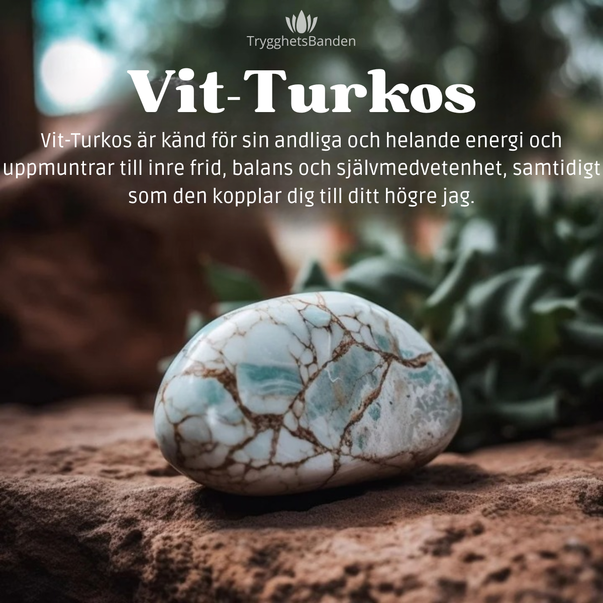 Vitt Turkos Armband